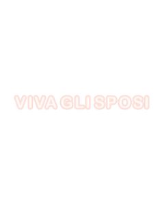 FESTONE MAXI VIVA GLI SPOSI PZ.1