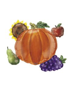 PALLONCINI ZUCCA CLUSTER PZ.5