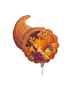 PALLONCINO CORNUCOPIA PZ.5