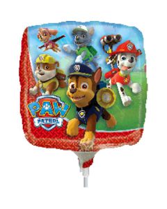 PALLONCINI PAW PATROL PZ.5