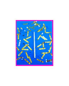 METALLIC FETTI STRIPS CARICA PER CANNONE