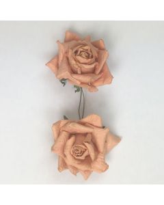 ROSE IN CARTA SALMONE PZ.2