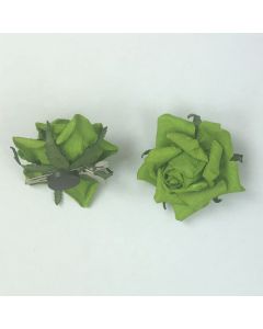 ROSE CARTA VERDE CLIP MAGNETE PZ.2