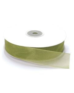 NASTRO ORGANZA VERDE CHIARO PZ.1