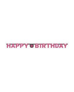 FESTONE COMPLEANNO PINK PZ.1