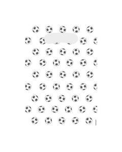 SACCHETTI PALLONE CALCIO PZ.8