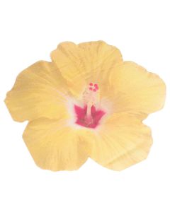 Tovaglioli Tropicali Pz.16