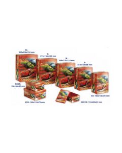 SCATOLE CARS PIT STOP SET PZ.8