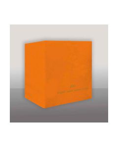 TOVAGLIOLO ARANCIO PZ.100