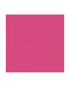 TOVAGLIOLI FUCSIA PZ.20