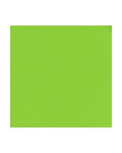 TOVAGLIOLI VERDE LIME PZ.20