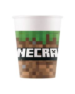 Bicchieri Minecraft Pz.8
