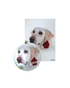 Biglietto Con Cd Musicale Pz.1 R158 - Love Dog