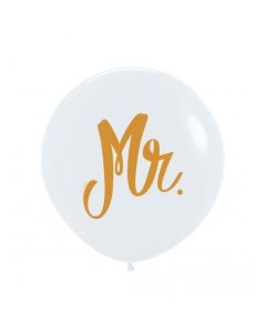 Palloncino Mr Bianco (005) 24" Pz.3