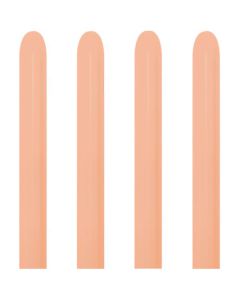 MODELLABILE PESCA (060) 160 PZ.100