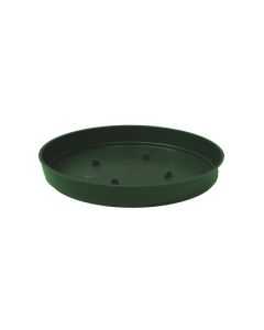 CIOTOLA OLYMPIA diam 20 GREEN PZ 12